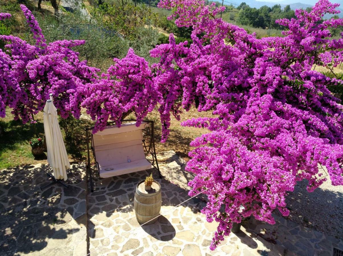 Agriturismo Il Marchese Aquara Exteriér fotografie