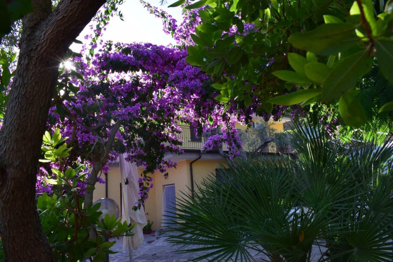 Agriturismo Il Marchese Aquara Exteriér fotografie